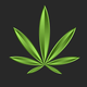 Image for article titled Go Green but Buy Black: 10 Black-Owned Cannabis Companies For 4/20
